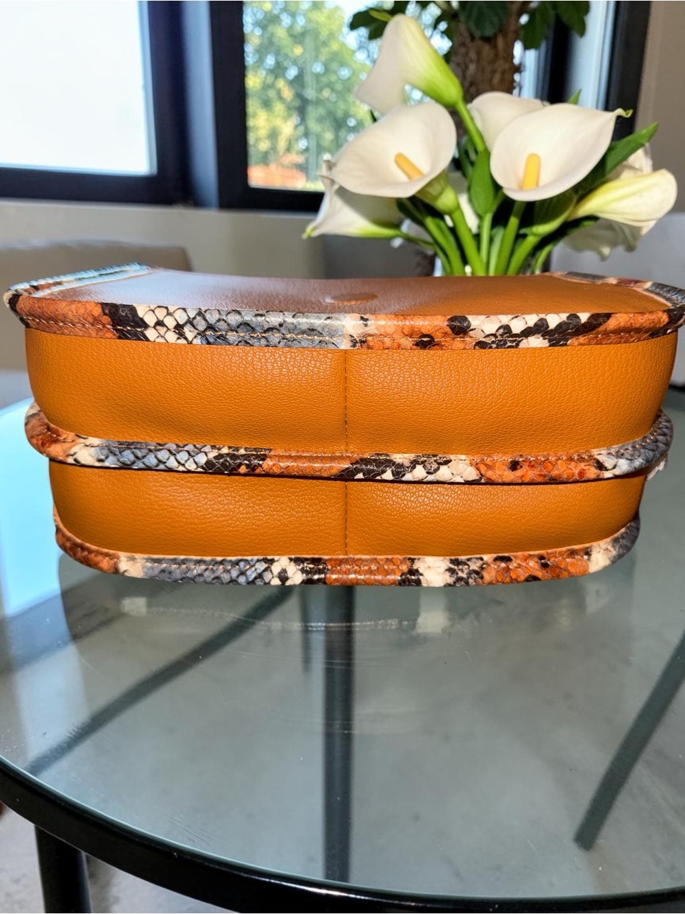 Ted Baker London "Hetty" Snake Print Crossbody Bag NWT - Picture 7 of 16
